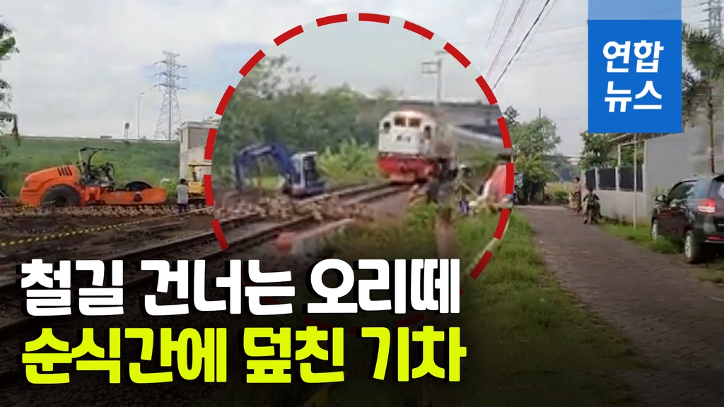[영상] 퍼덕퍼덕 날갯짓도 역부족…달려오는 기차에 오리떼 몰사 - 2