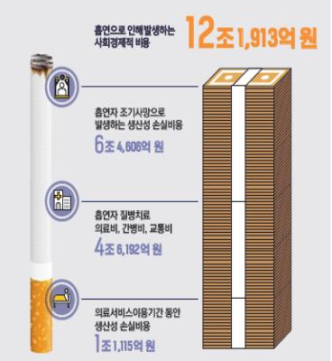 흡연으로 인해 발생하는 사회경제적 비용