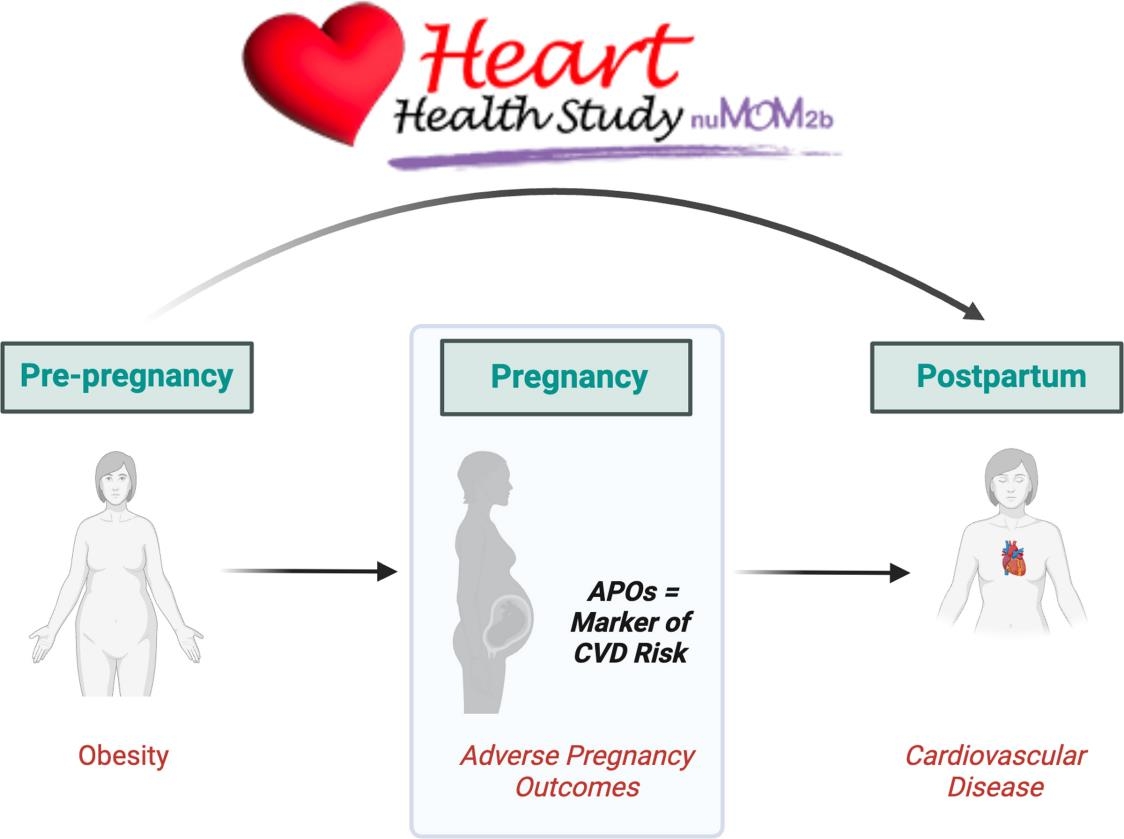 임신 전 비만과 임신 부작용 및 출산 후 심혈관 질환 연구 포스터