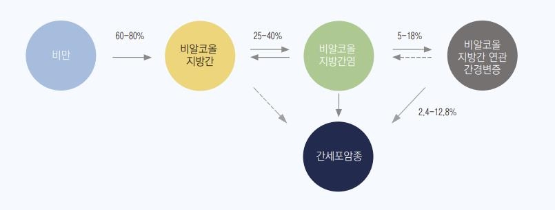 비알코올성 지방간의 경과