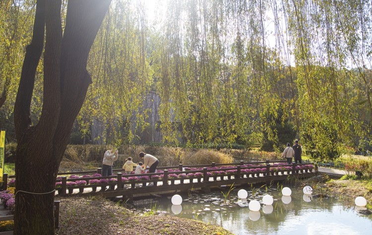 무릉도원수목원