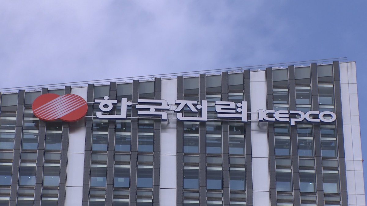 MB정부 '자원개발 펀드'에 한전 133억원 날려