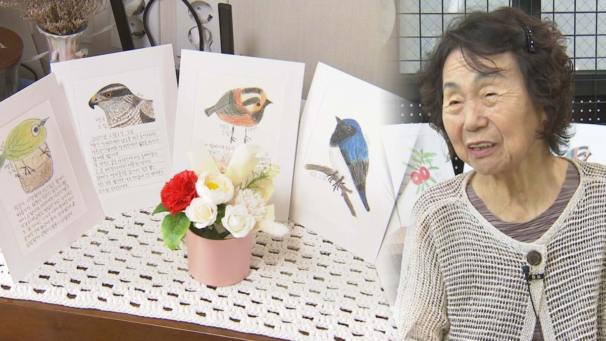 아파트 찾는 각종 새 그림으로 그린 여든 살 작가 맹순 할머니