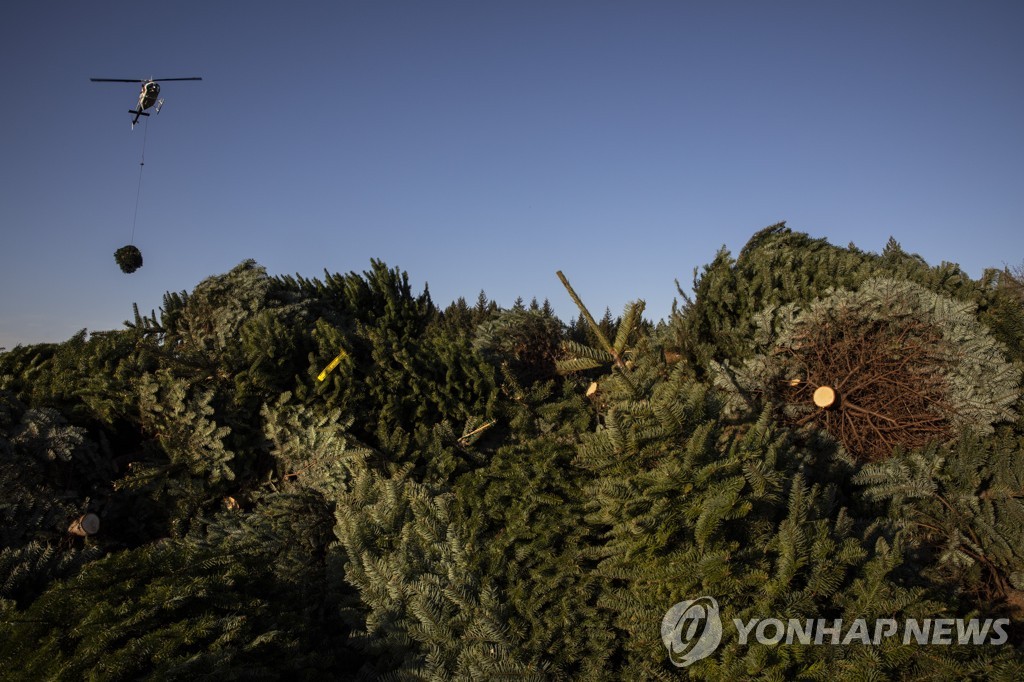 Virus Outbreak Christmas Trees