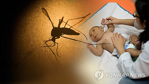 <지카 비상> WHO "에볼라때 늑장대응 되풀이 안돼"…신속 대응 - 2