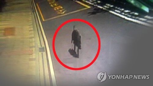 광주 도심서 멧돼지 이틀 새 3차례 출몰0