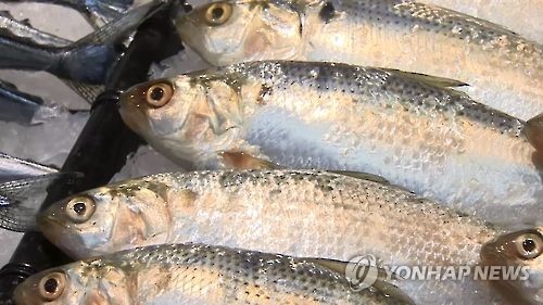 전어