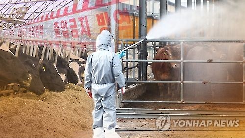 구제역 (CG)