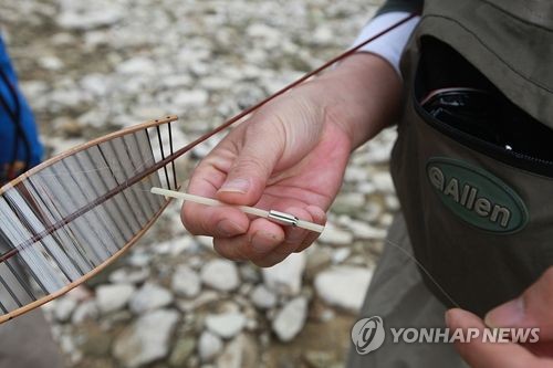 견지낚시