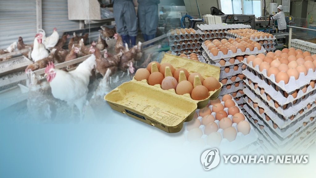 유럽 살충제 계란 파문땐 괜찮다더니…안방사정 모른 정부(CG)