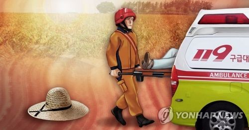 폭염 속 밭 일하던 노인 사망 (PG)