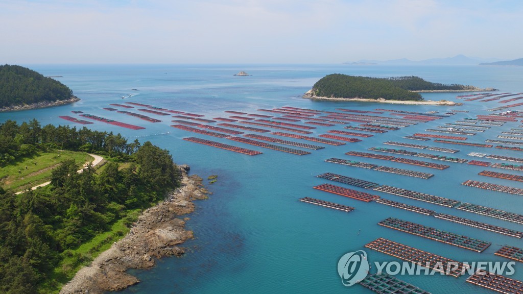 전남 완도군 청산도 앞바다 전복양식장