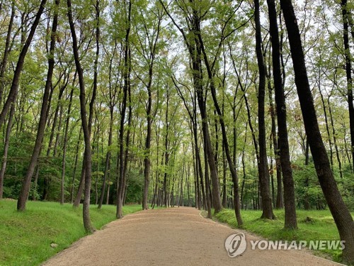 화성 융릉과 건릉 숲길