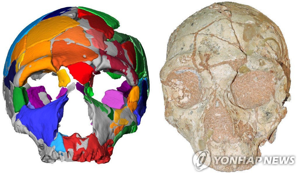 그리스서 21만년 전 현생인류 두개골 발견