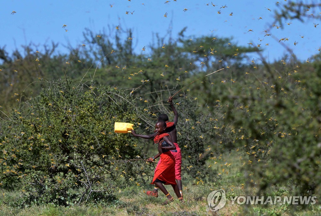 TOPSHOT-KENYA-CLIMATE-LOCUST