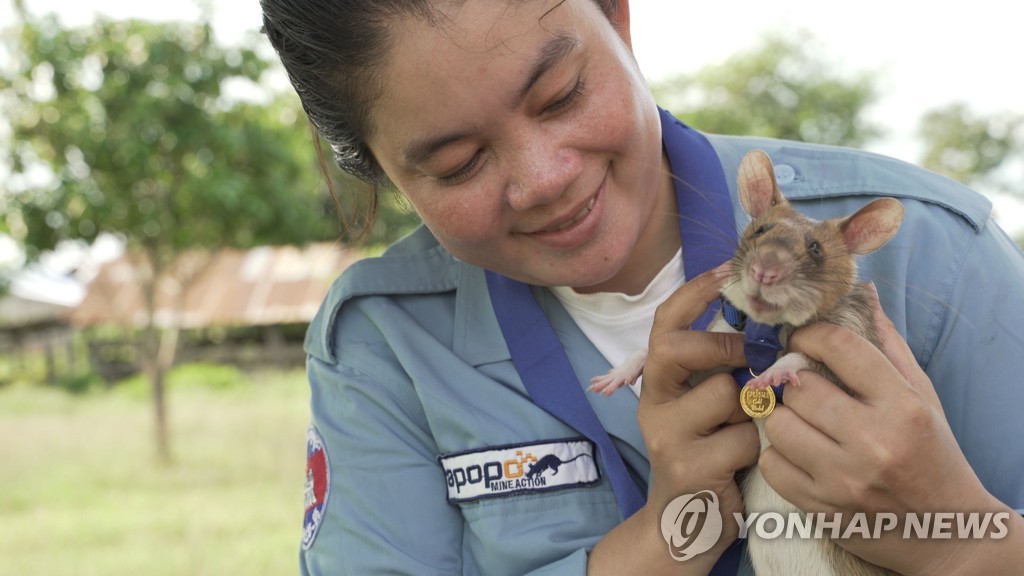 BRITAIN-CAMBODIA-AWARD-ANIMAL-RAT