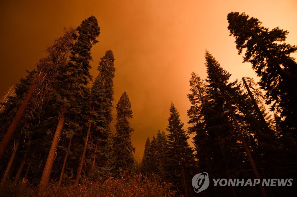 US-CLIMATE-FIRE-CALIFORNIA-SEQUOIA