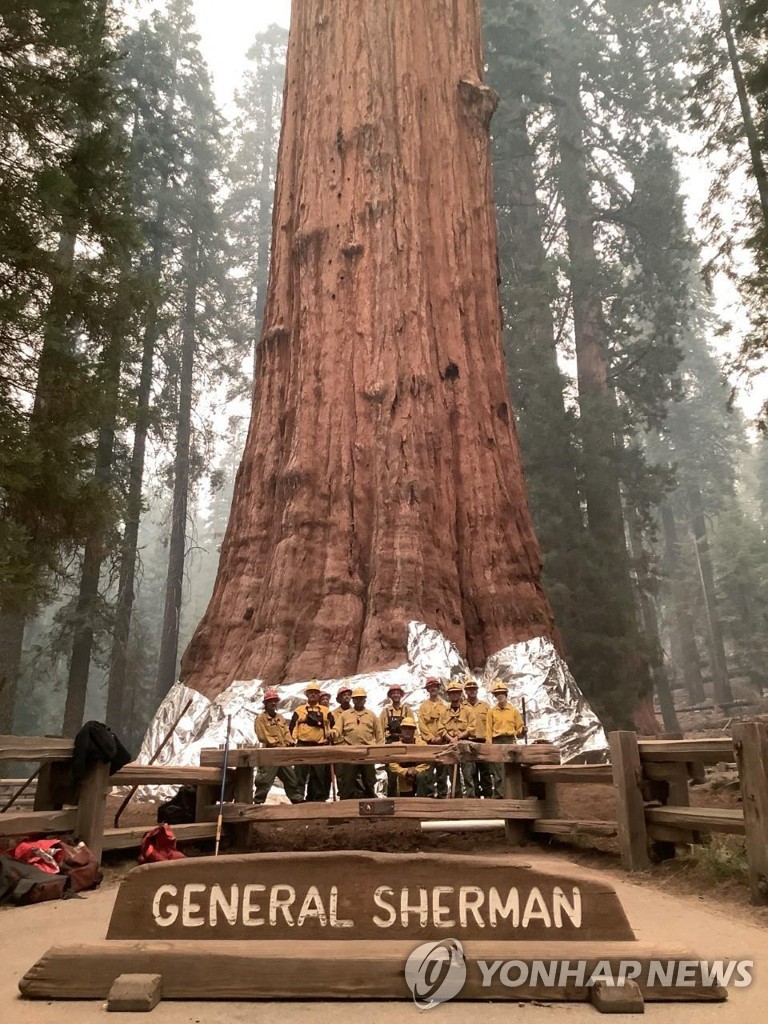 TOPSHOT-US-CLIMATE-FIRE-CALIFORNIA-SEQUOIA