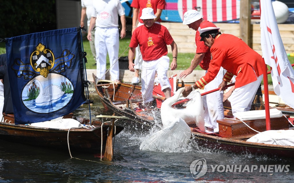 BRITAIN PHOTO SET SWAN UPPING