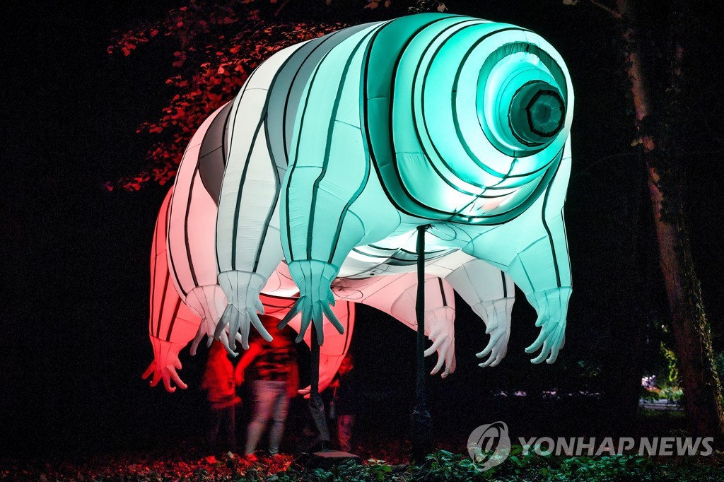 HUNGARY ART NIGHT OF LIGHTS