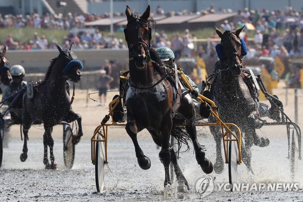 GERMANY EQUESTRIAN WADDEN SEA RACE