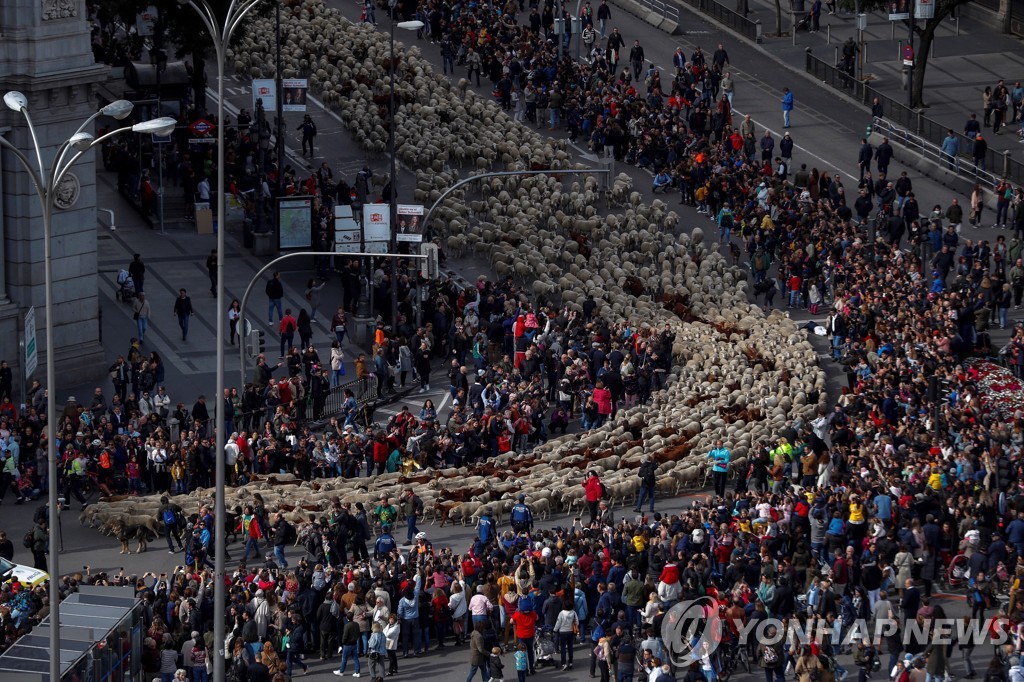 SPAIN TRANSHUMANCE