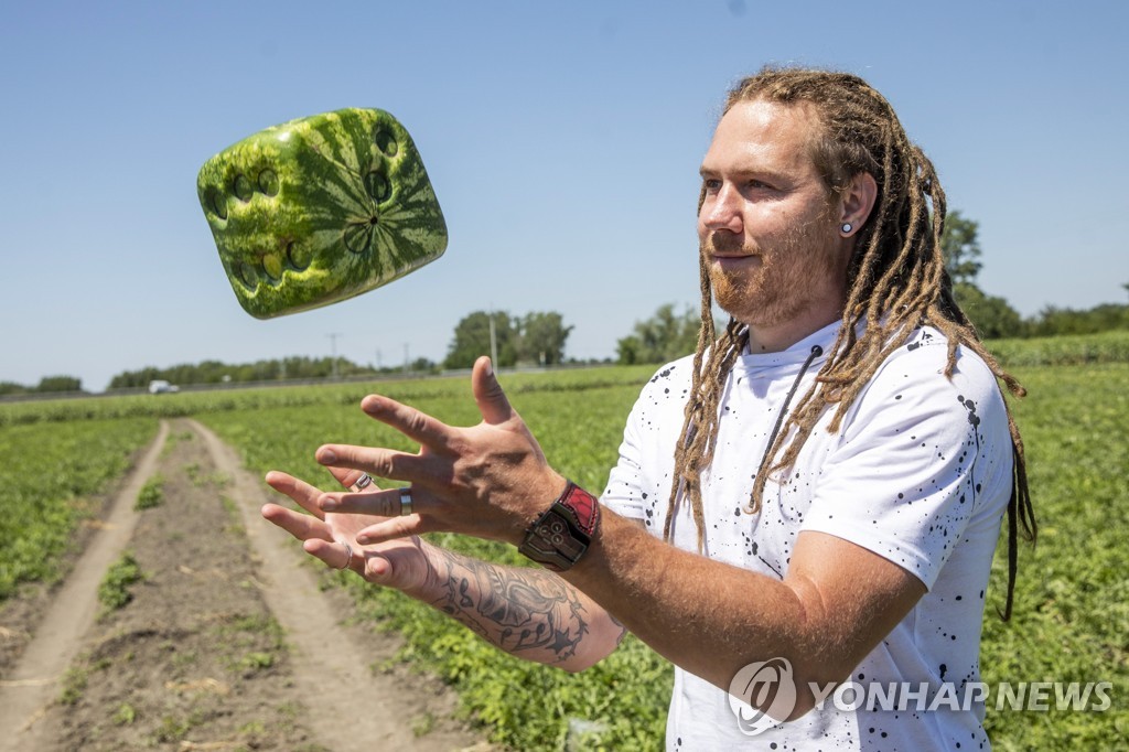 HUNGARY AGRICULTURE CUBE SHAPED WATERMELON