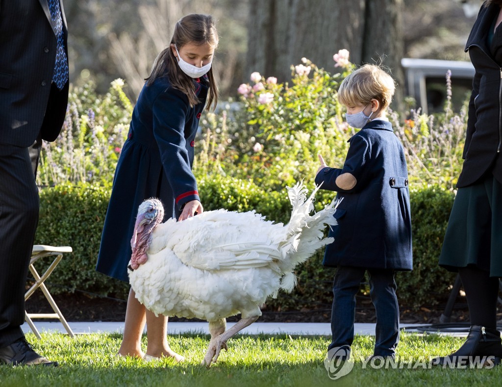 USA TRUMP TURKEY PARDONING