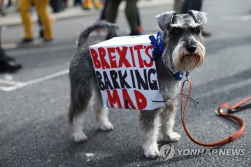 'WOOFERENDUM'행진에 참여한 반려견