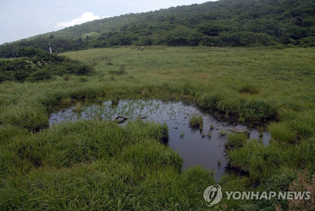 강원 인제 대암산 용늪