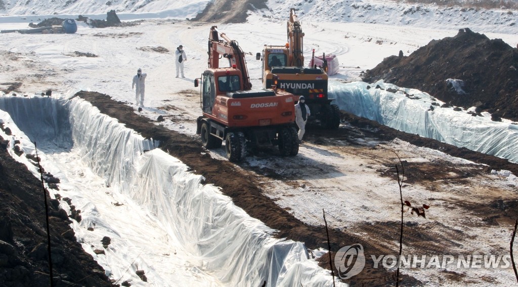 '천안 구제역 소 매몰 준비 끝'