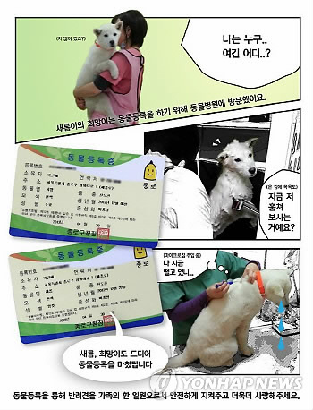 청와대 진돗개, '반려동물'로 등록