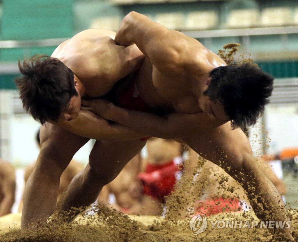 힘 대결