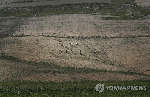 가뭄 속 밭일하는 北 농부 (AP=연합뉴스 자료사진)