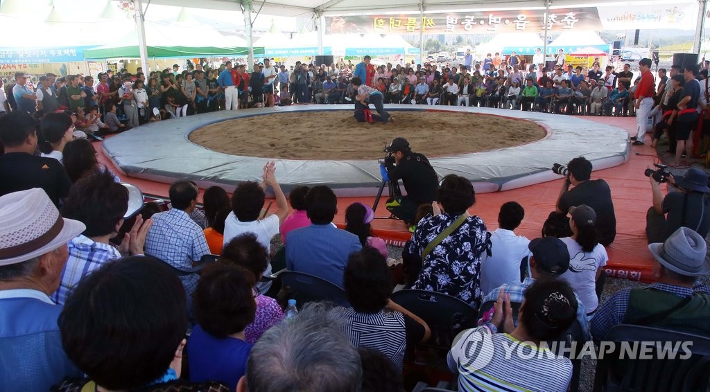 '2015춘천막국수닭갈비축제' 프로그램으로의 하나로 열린 씨름대회 (연합뉴스 자료사진)
