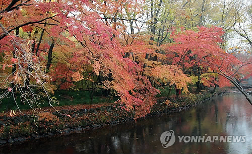 만추의 선운사 계곡.