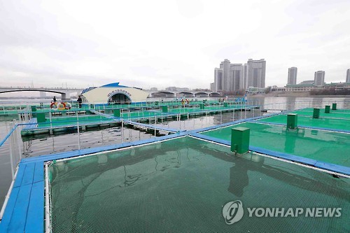 대동강의 양어장