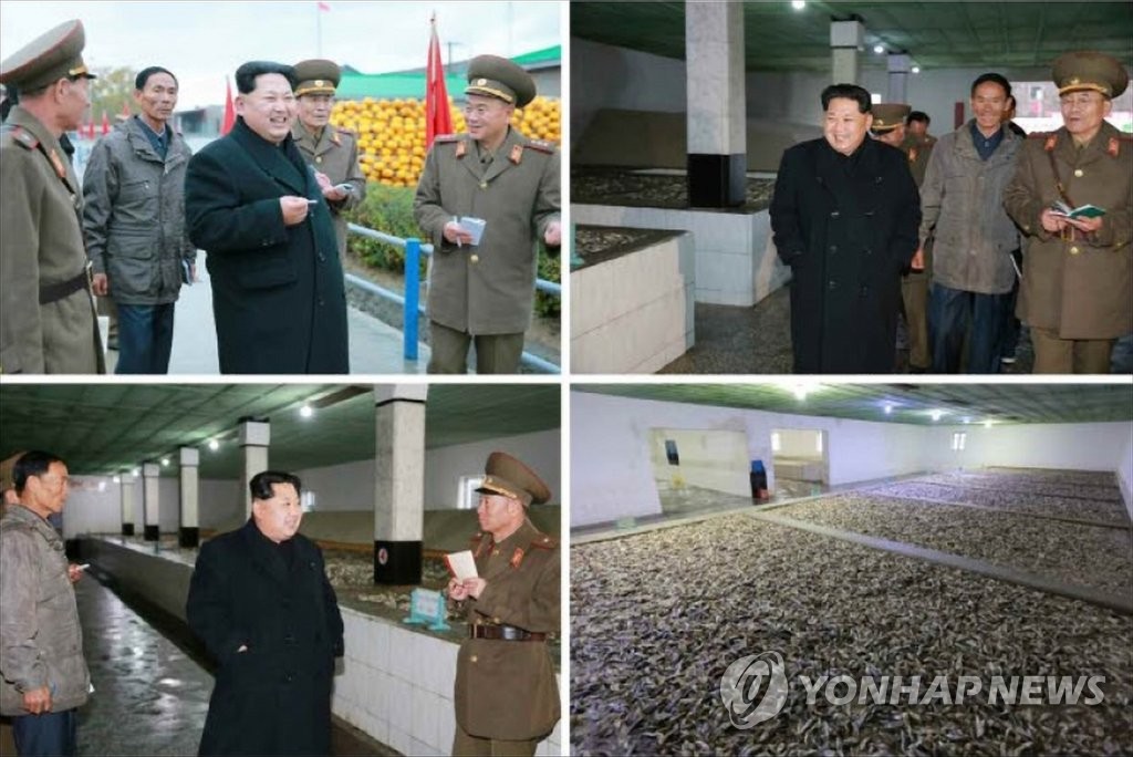 北 김정은, 수산사업소 시찰…"생산량 비약적으로"