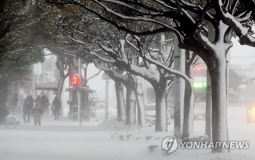 <최강한파> 눈으로 뒤덮인 남국 제주