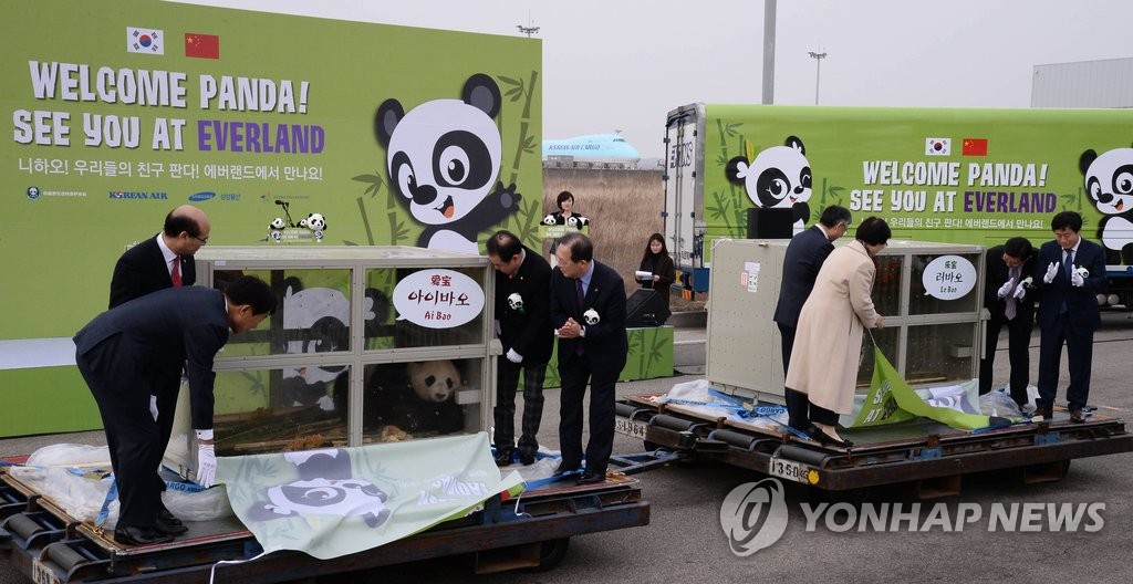 한국에 온 판다