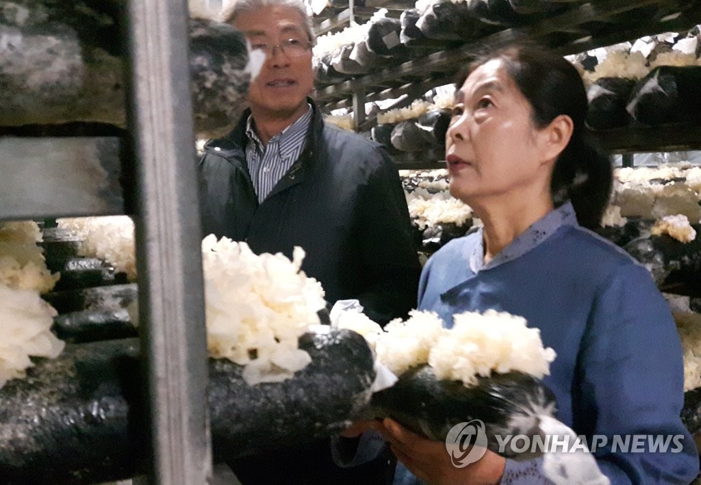 발효명인 김순양씨 평택서 흰목이버섯 식초 생산