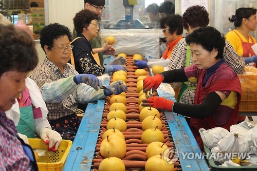 미국에 가는 나주산 햇배