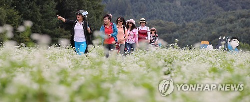 메밀향 가득한 추억