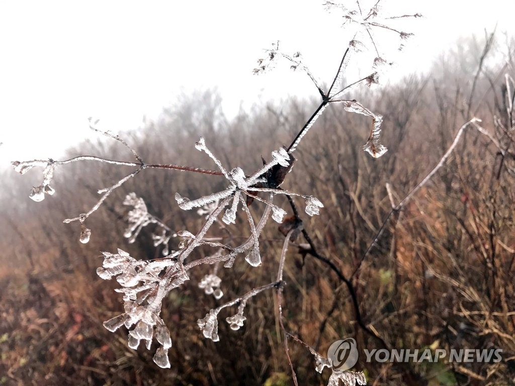 대구·경북 올가을 가장 추워…봉화 석포 영하 1.2도 - 1