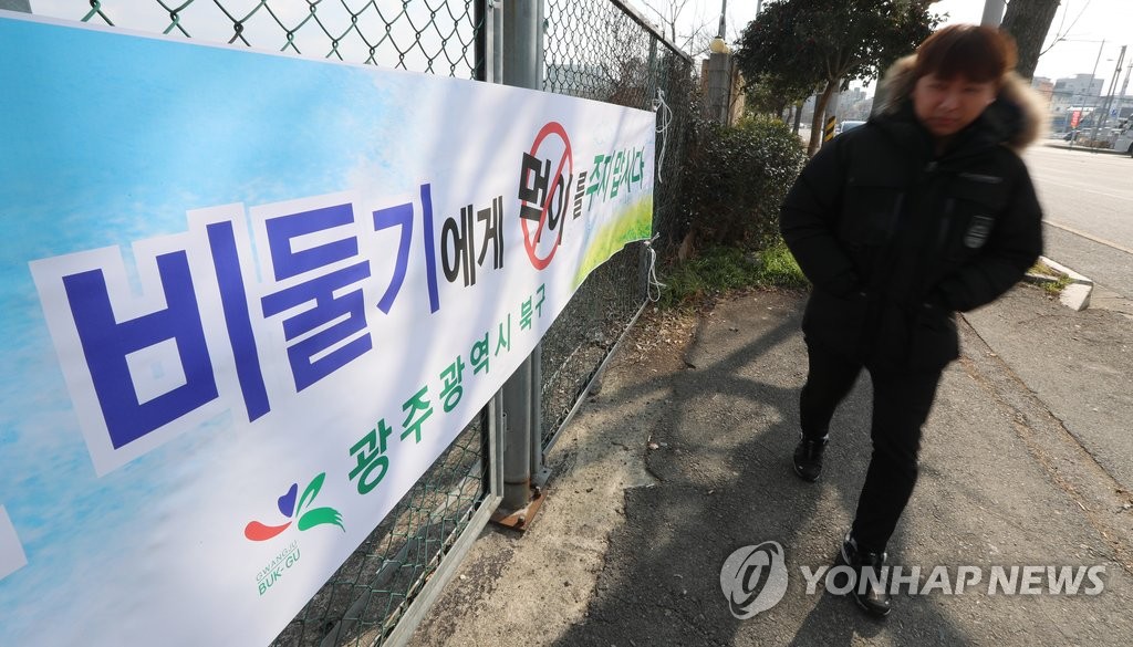 '비둘기 먹이 주지 마세요'