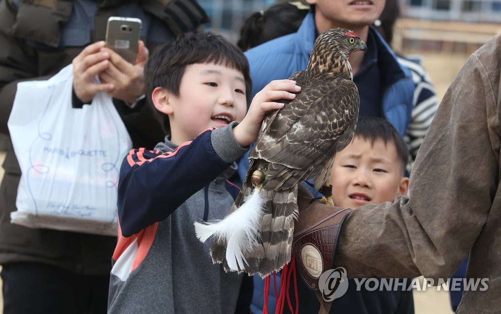매 만지는 어린이