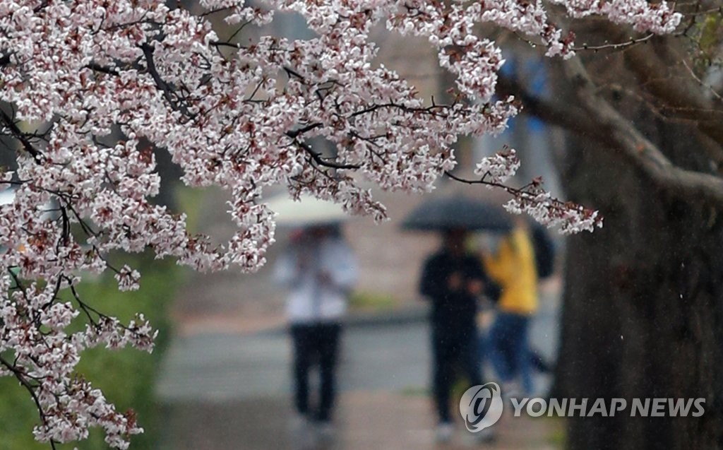 '촉촉'한 봄비 속 포근함 이어져…서울 최고 20도 - 1