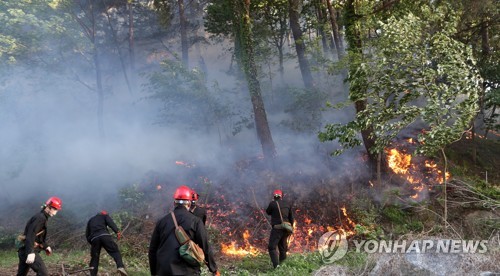 산불과의 사투