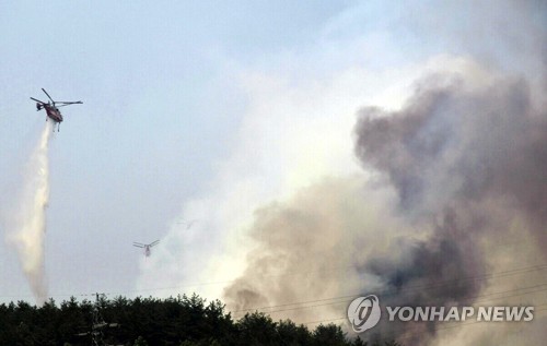 삼척 산불 진화 총력