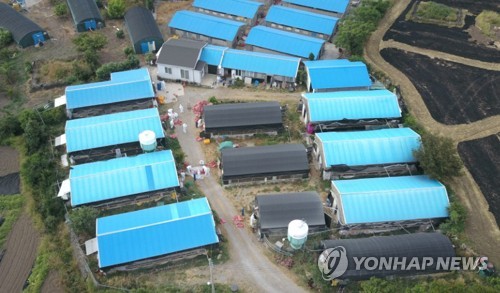 'AI 의심' 제주 가금류 살처분